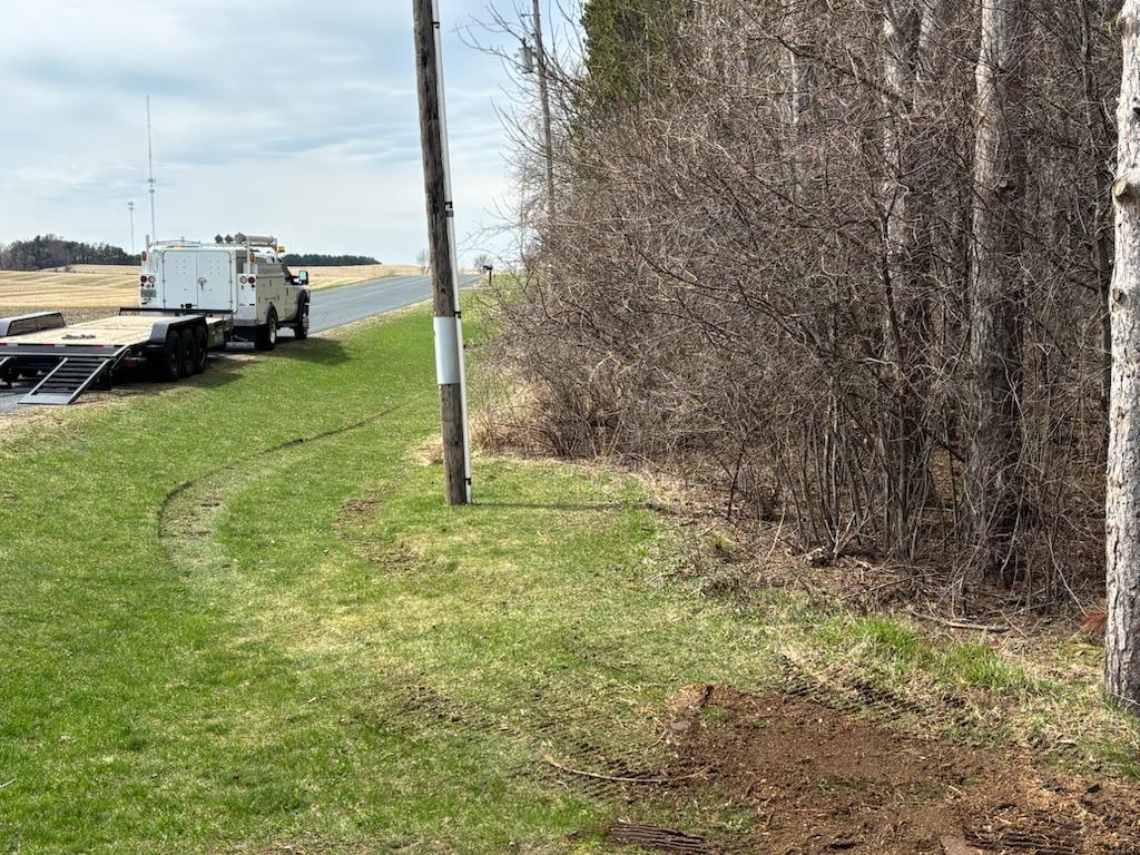 Say goodbye to invasive buckthorn and hello to a healthy, usable space.